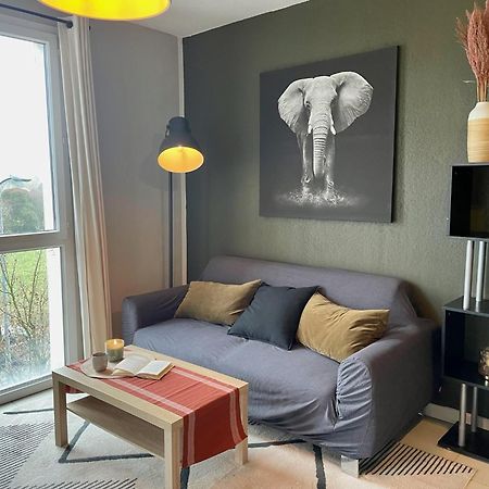 Le Colorado - Appartement Proche Airbus Colomiers Bagian luar foto
