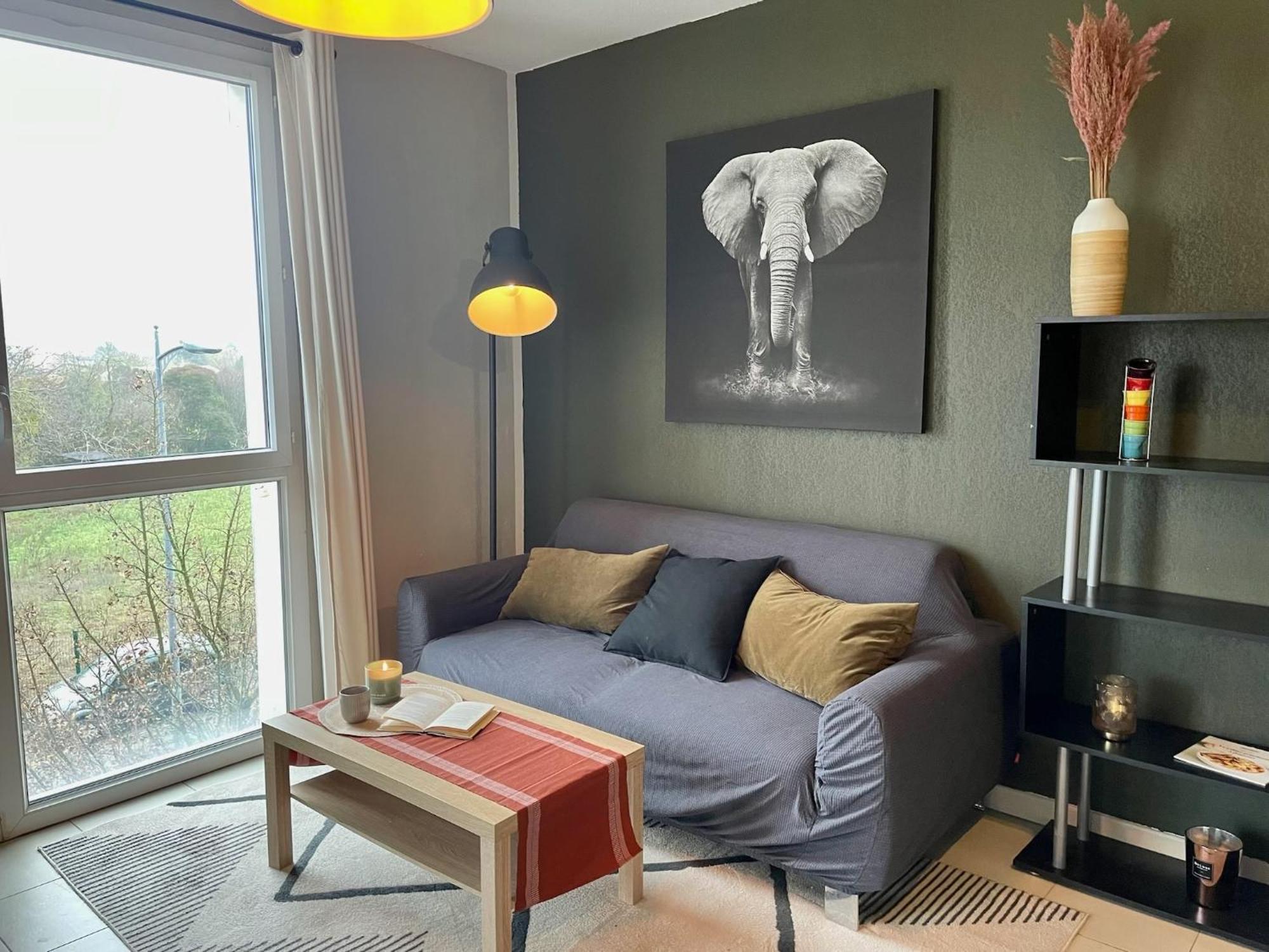 Le Colorado - Appartement Proche Airbus Colomiers Bagian luar foto
