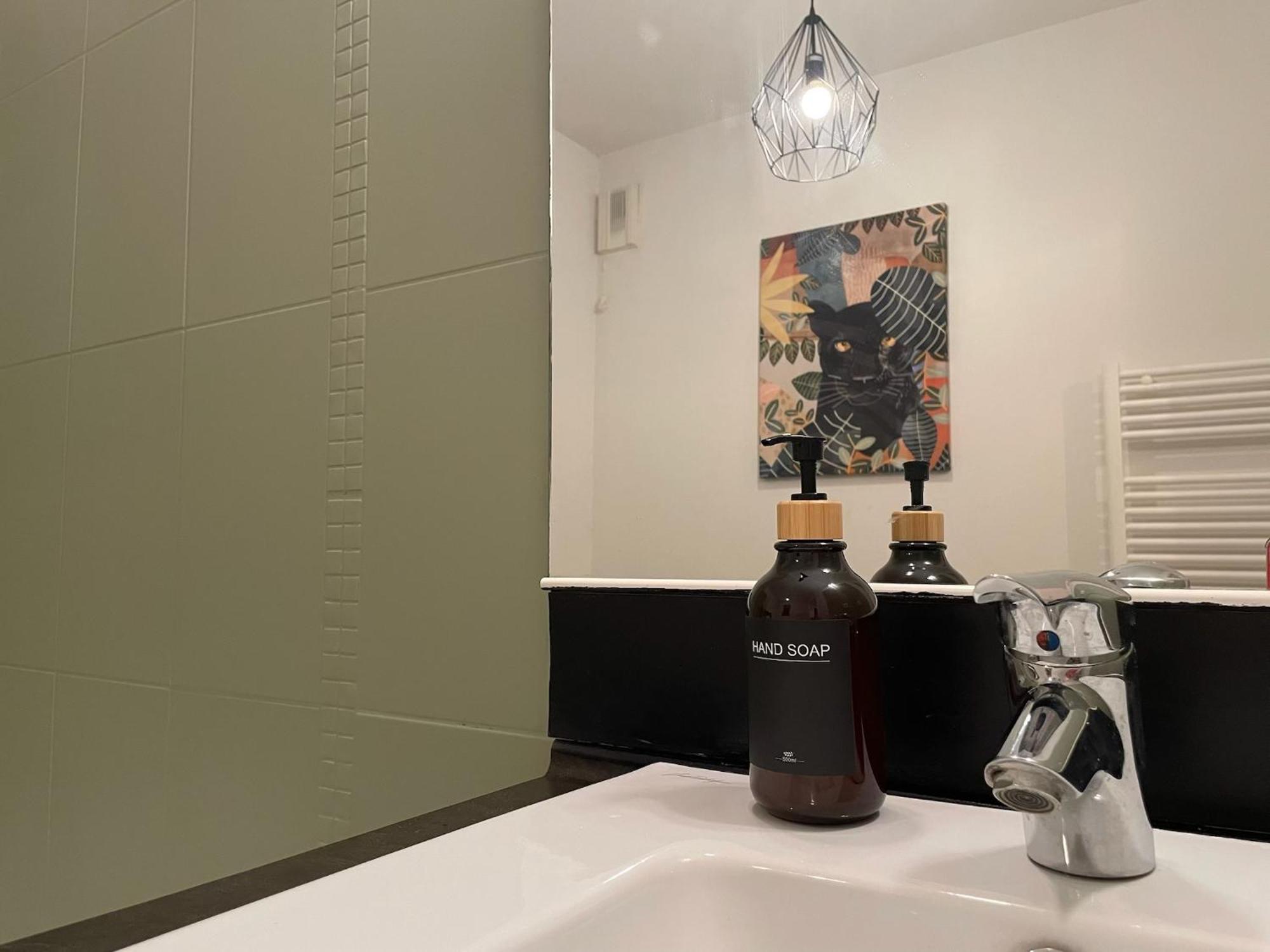 Le Colorado - Appartement Proche Airbus Colomiers Bagian luar foto